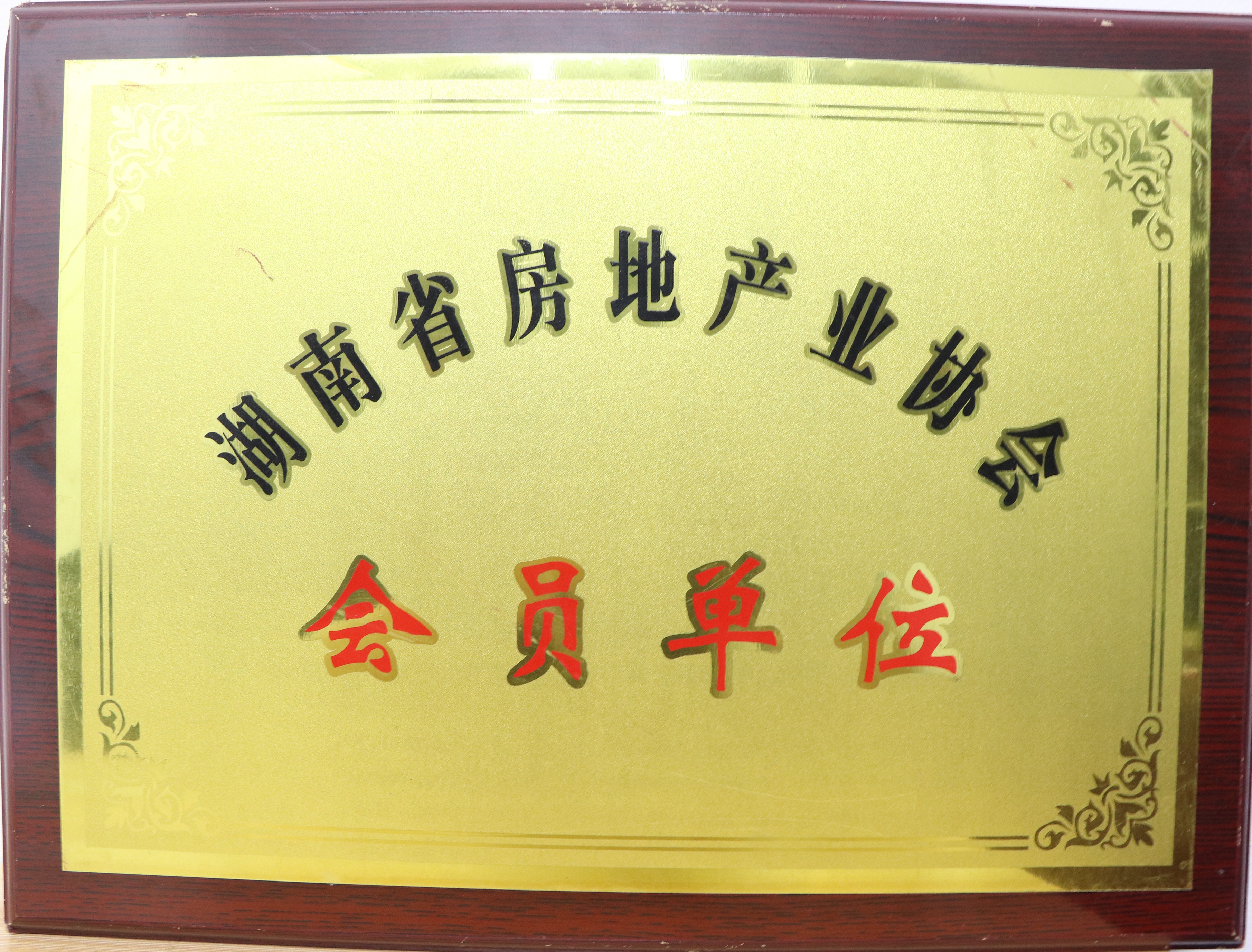 湖南房地產協會會員單位