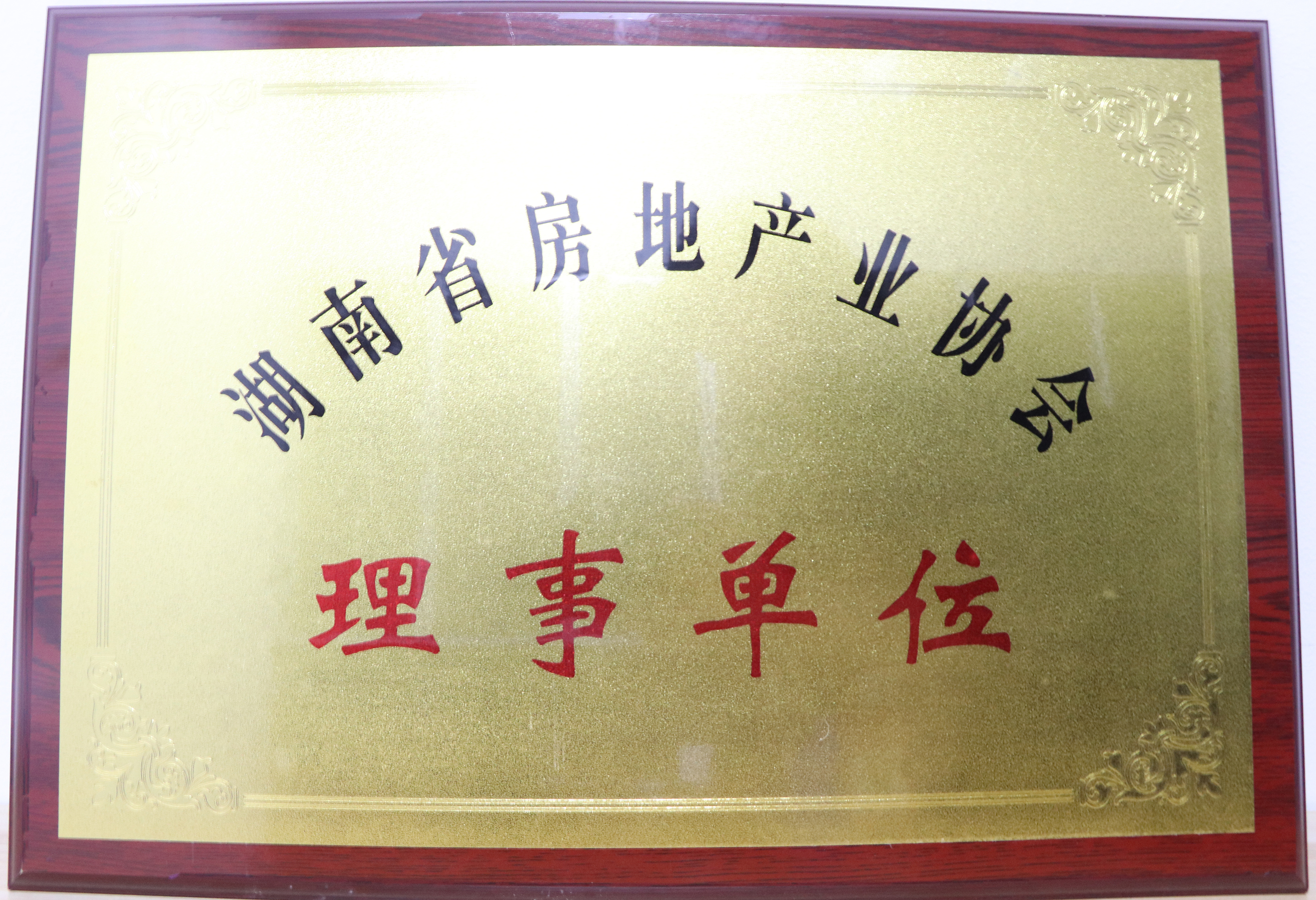 湖南省房地產業協會理事單位