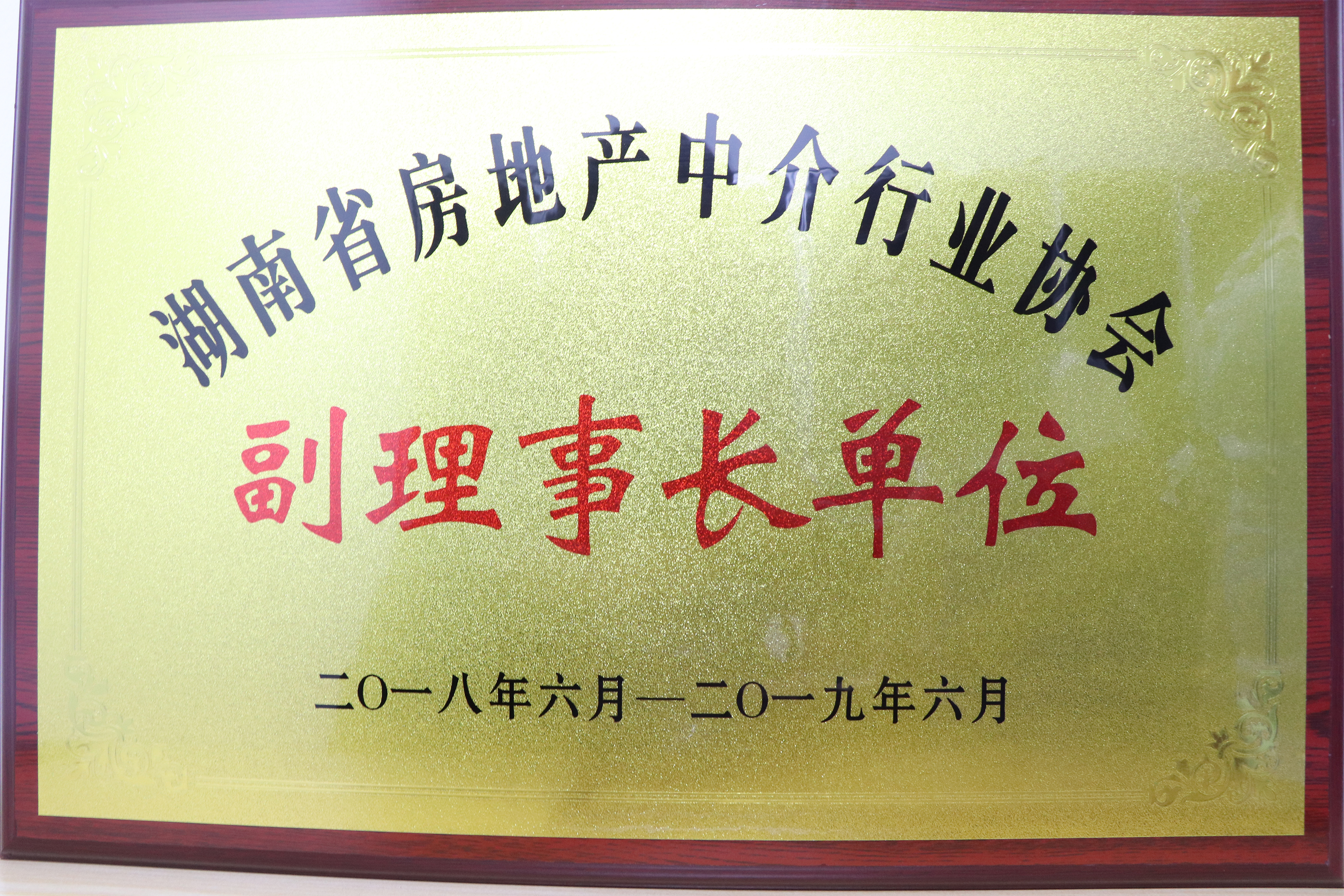 2018-2019年度湖南省房地產中介行業協會副理事長單位
