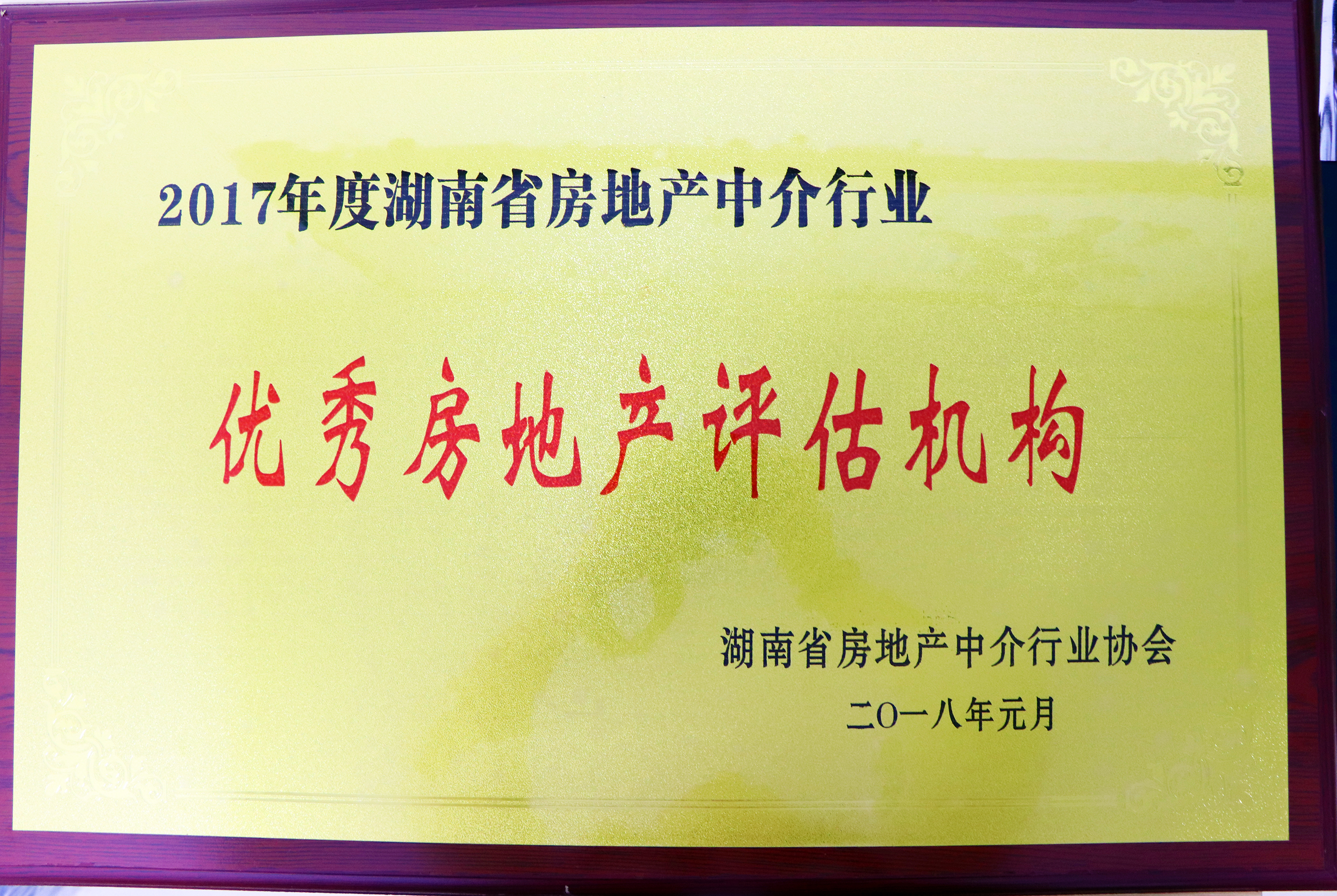 2017年度湖南省房地產中介行業優秀房地產評估機構